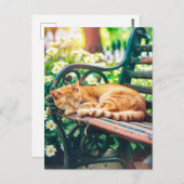 Cozy Cat Sleeping in Garden on Bench Briefkaart (Voorkant / Achterkant)