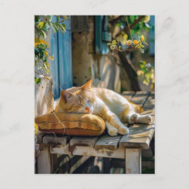 Cozy Cat Sleeping in Garden on Bench Briefkaart