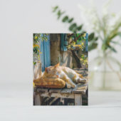 Cozy Cat Sleeping in Garden on Bench Briefkaart (Staand voorkant)