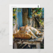 Cozy Cat Sleeping in Garden on Bench Briefkaart (Voorkant / Achterkant)