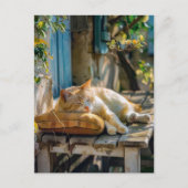Cozy Cat Sleeping in Garden on Bench Briefkaart (Voorkant)