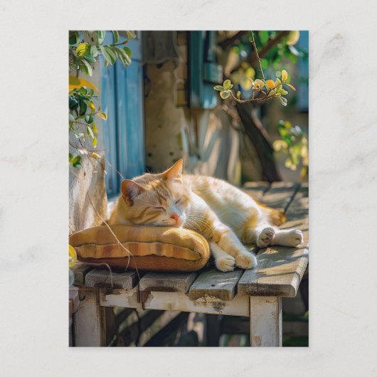 Cozy Cat Sleeping in Garden on Bench Briefkaart (Voorkant)