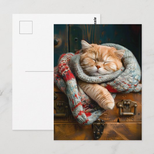 Cozy Cat Sleeping on a wooden box Briefkaart (Voorkant / Achterkant)