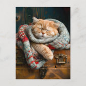 Cozy Cat Sleeping on a wooden box Briefkaart (Voorkant)
