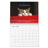 Cozy Cats kalender 2019 (Mar 2027)