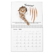 Cozy Cats kalender 2019 (Jan 2026)