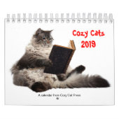 Cozy Cats kalender 2019 (Hoes)