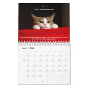 Cozy Cats kalender 2019 (Mar 2026)