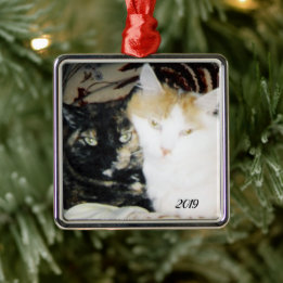 Cozy Cheek to Cheek Cats Foto met Jaar Metalen Ornament