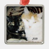 Cozy Cheek to Cheek Cats Foto met Jaar Metalen Ornament (Voorkant)