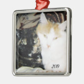 Cozy Cheek to Cheek Cats Foto met Jaar Metalen Ornament (Links)