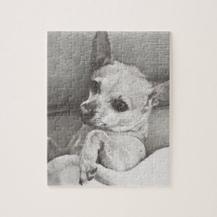 Cozy Chihuahua Puzzle Legpuzzel