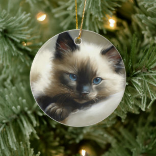 Cozy Companion Siamese Kitten Keramisch Ornament