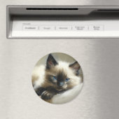 Cozy Companion Siamese Kitten Magneet (Insitu (Vaatwasser))