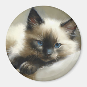 Cozy Companion Siamese Kitten Magneet
