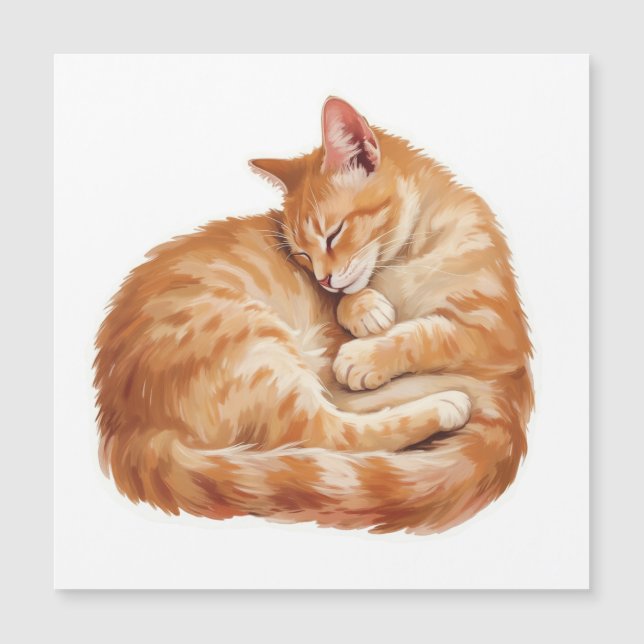 Cozy Companions Collection - Sleeping Cat Magnet (Voorkant)