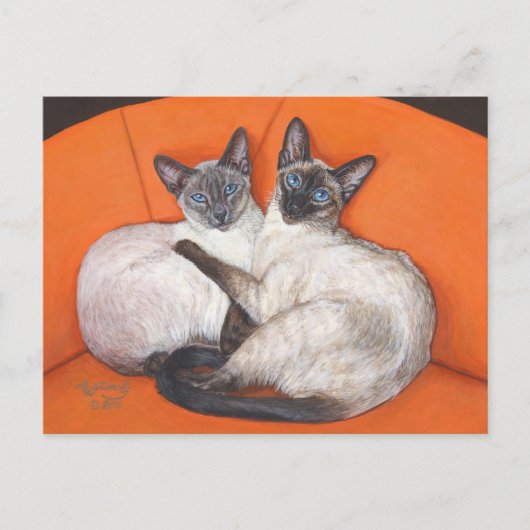 Cozy Couple Siamese Cat Briefkaart (Voorkant)