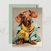 Cozy Dachshund Fashion Portrait Briefkaart (Voorkant / Achterkant)