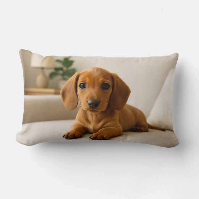 Cozy Dachshund Kussen (Voorkant)