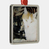 Cozy Foto van twee katten op de wang Metalen Ornament (Rechts)