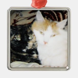 Cozy Foto van twee katten op de wang Metalen Ornament