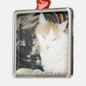 Cozy Foto van twee katten op de wang Metalen Ornament (Links)
