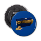 Cozy Hideaway: De gemberkat in de schoenendoos Button Flesopener (Voorkant)