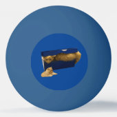 Cozy Hideaway: De gemberkat in de schoenendoos Pingpongbal (Voorkant)