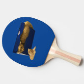 Cozy Hideaway: De gemberkat in de schoenendoos Tafeltennisbatje (Zijkant)