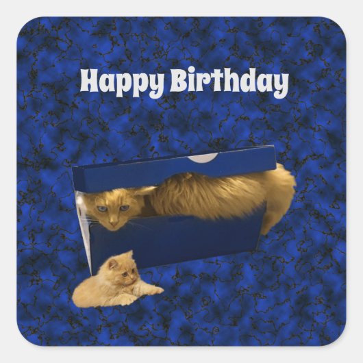 Cozy Hideaway: De gemberkat in de schoenendoos Vierkante Sticker (Voorkant)