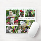 Cozy Kitten Muismat (Met muis)