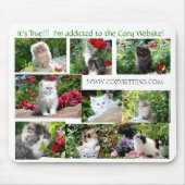 Cozy Kitten Muismat (Voorkant)