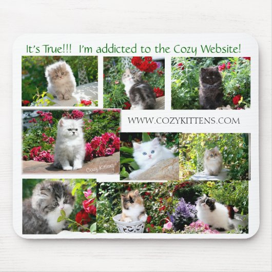 Cozy Kitten Muismat (Voorkant)