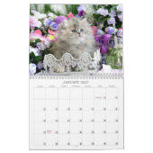 Cozy Kittens Agenda Kalender (Jan 2027)