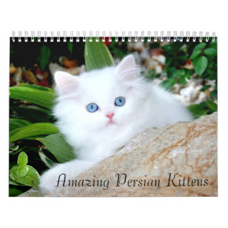 Cozy Kittens Agenda Kalender