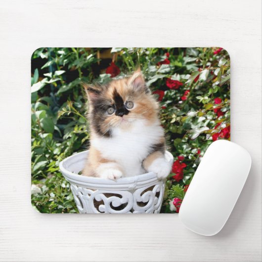 Cozy Kittens Calico Persian Kittens Mousepad Muismat (Met muis)