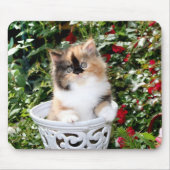 Cozy Kittens Calico Persian Kittens Mousepad Muismat (Voorkant)