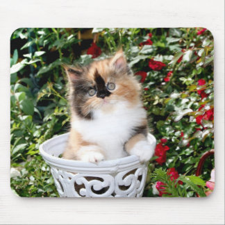 Cozy Kittens Calico Persian Kittens Mousepad Muismat