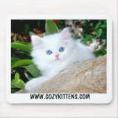 Cozy Kittens Heaven op Aarde Muismat (Voorkant)