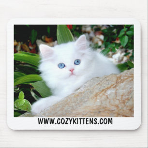 Cozy Kittens Heaven op Aarde Muismat
