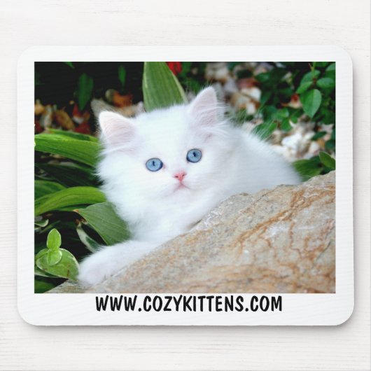 Cozy Kittens Heaven op Aarde Muismat (Voorkant)