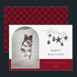 Cozy Natuur Arch Lijst Foto Holiday Kaart<br><div class="desc">Trendy rustic Scandinavian stijlvakantiefoto. Enkelvoudige foto met boogvormig lijst. De tak van de waterverf met pinecones en decoratieve sterren ornamenten,  het ontwerp van de chroomtypografie met trendy plaid patroonsteun.</div>