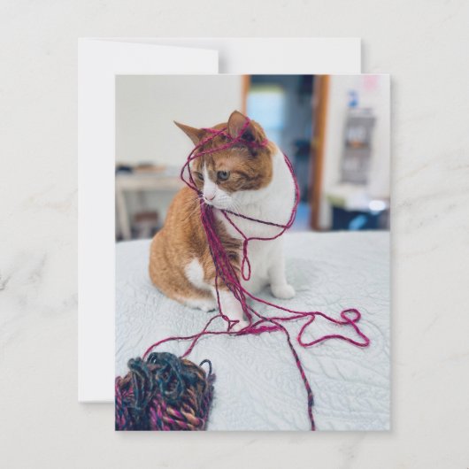 Cozy Orange Tabby Note Cards for Cat Lovers Notitiekaartje (Voorkant)