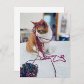 Cozy Orange Tabby Note Cards for Cat Lovers Notitiekaartje (Voorkant / Achterkant)