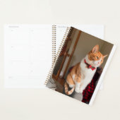 Cozy Planner Small Tabby Cat Planner (Display)