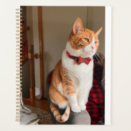 Cozy Planner Small Tabby Cat Planner