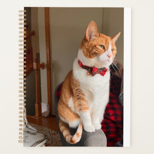 Cozy Planner Small Tabby Cat Planner (Voorkant)
