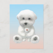 Cozy Plush Moment: Smiling Bichon Hugging Mini Pup Aankondigingskaart (Voorkant)