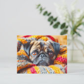 Cozy Pug Wrapped in Knitted Blanket Briefkaart (Staand voorkant)
