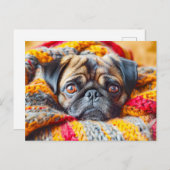 Cozy Pug Wrapped in Knitted Blanket Briefkaart (Voorkant / Achterkant)